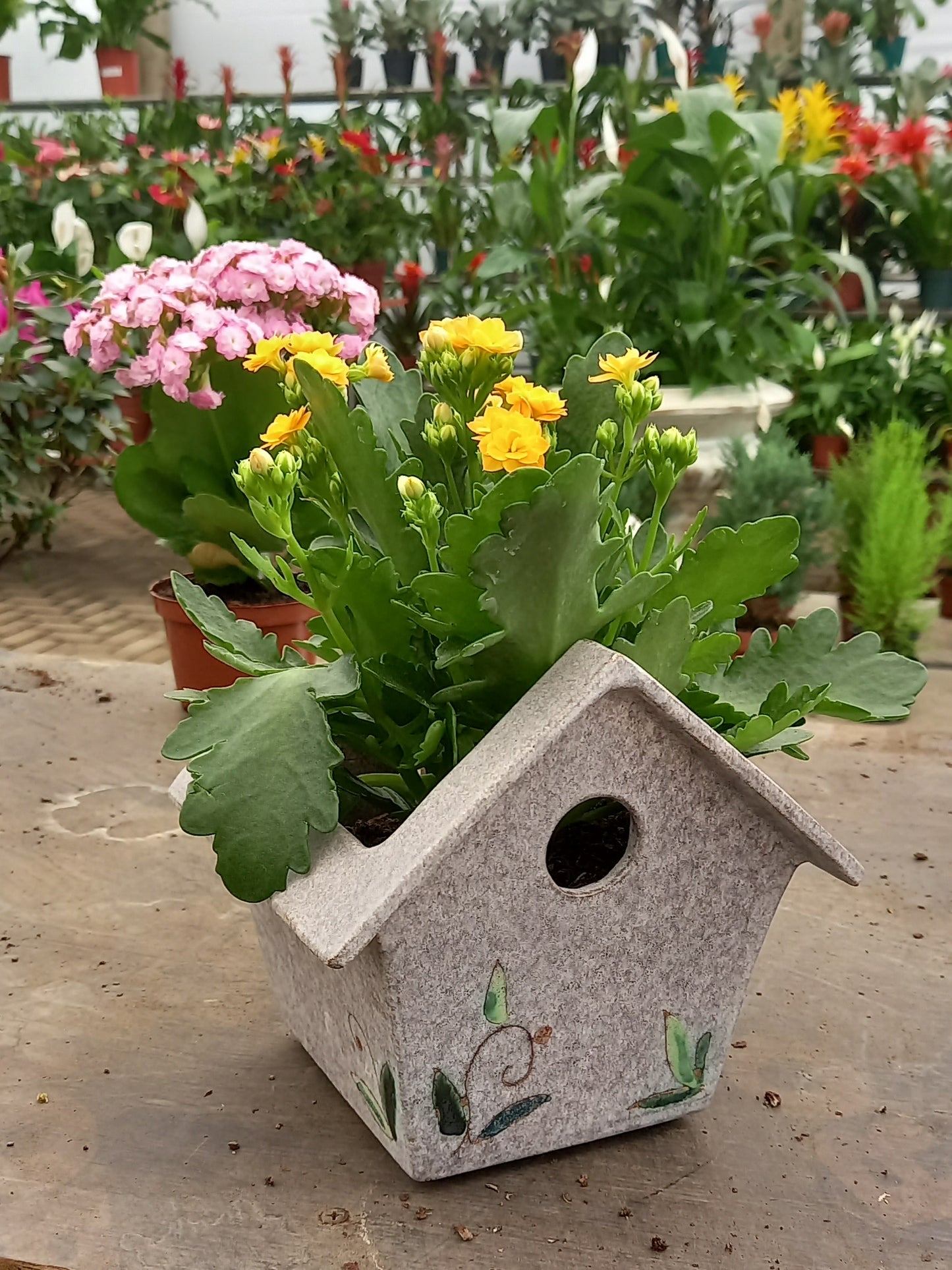 Flower Pot "Bird House"